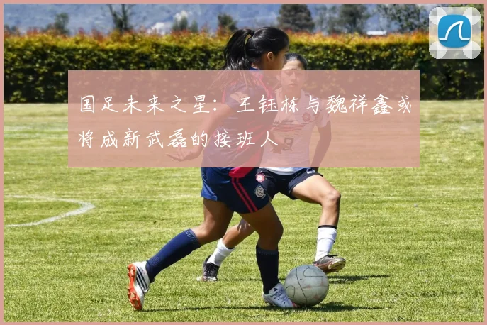 国足未来之星：王钰栋与魏祥鑫或将成新武磊的接班人