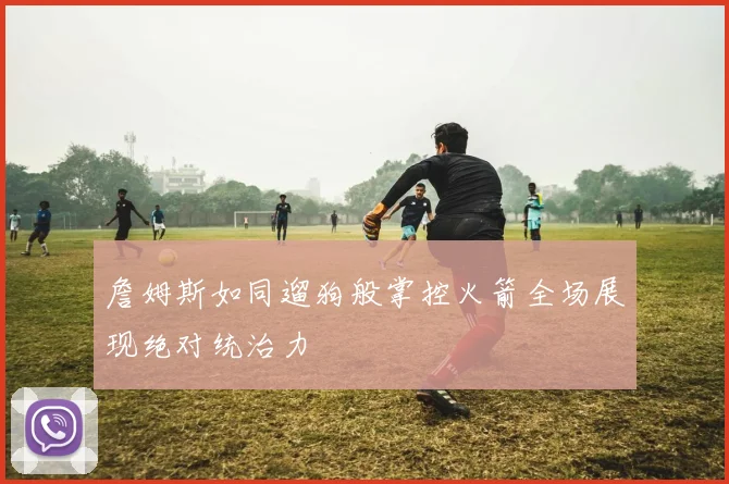 詹姆斯如同遛狗般掌控火箭全场展现绝对统治力